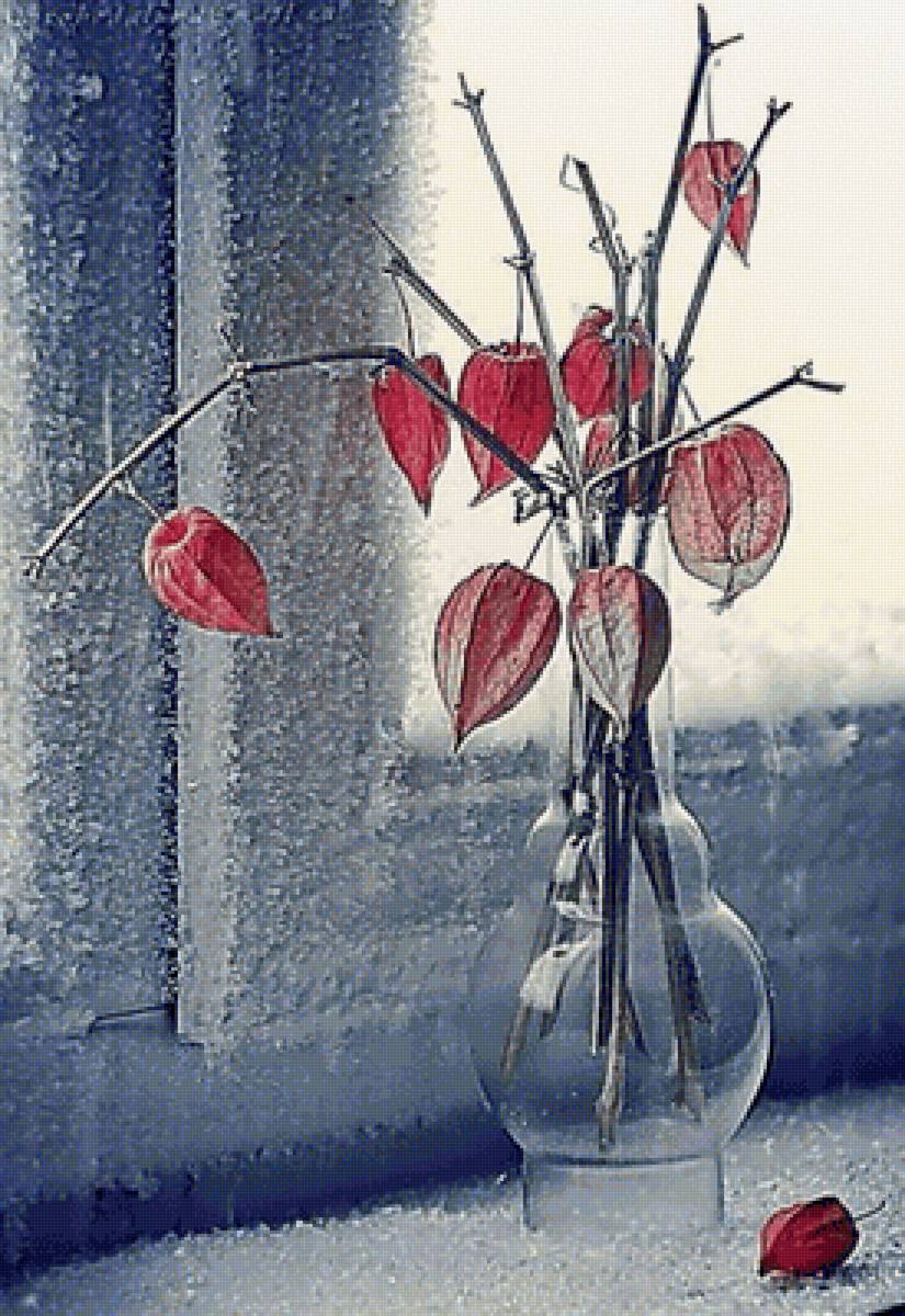 Физалис - физалис - предпросмотр