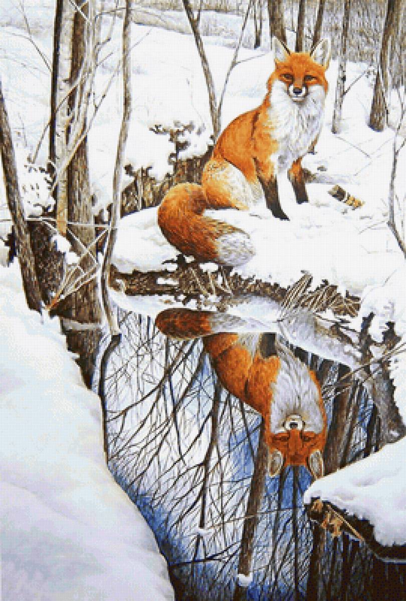 Серия "Лисы" - животные, зима, лиса - предпросмотр