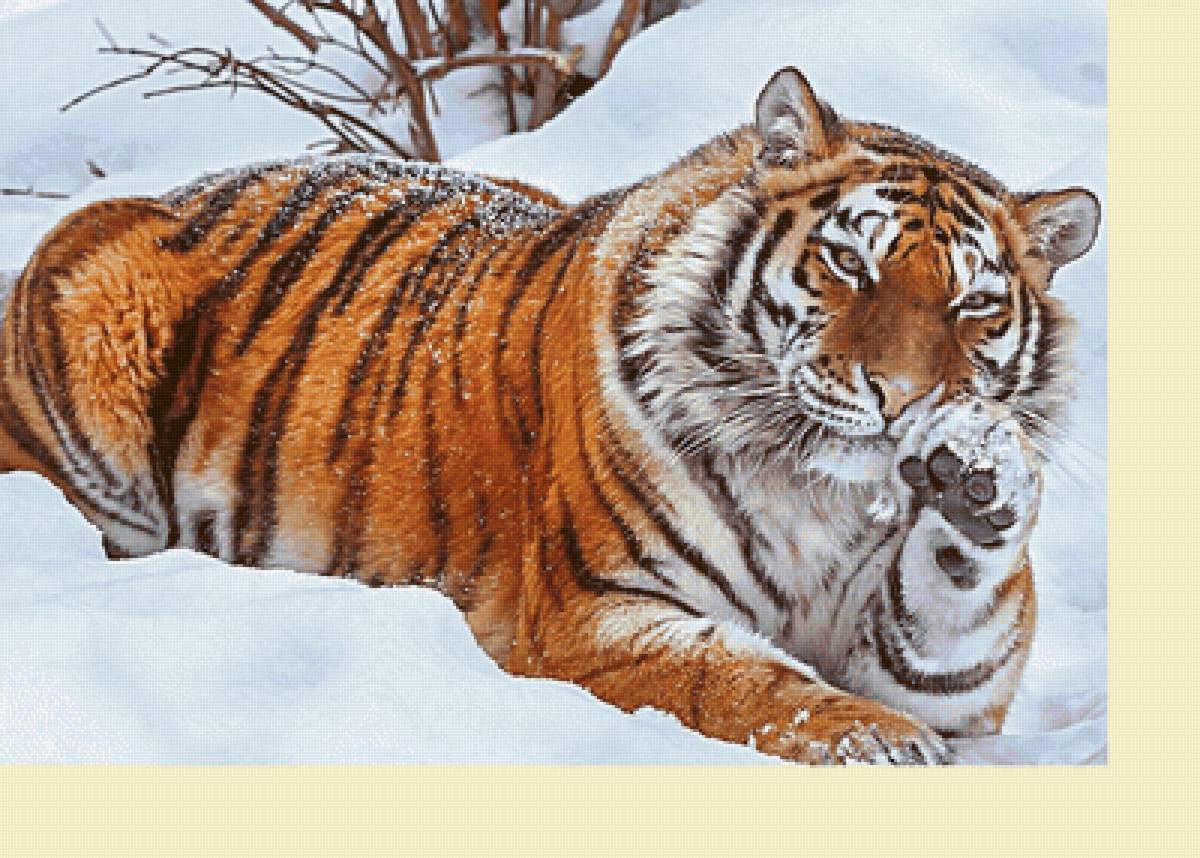 Серия "Хищники" - тигр, животные, хищники - предпросмотр