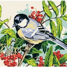 Схема вышивки «синичка»