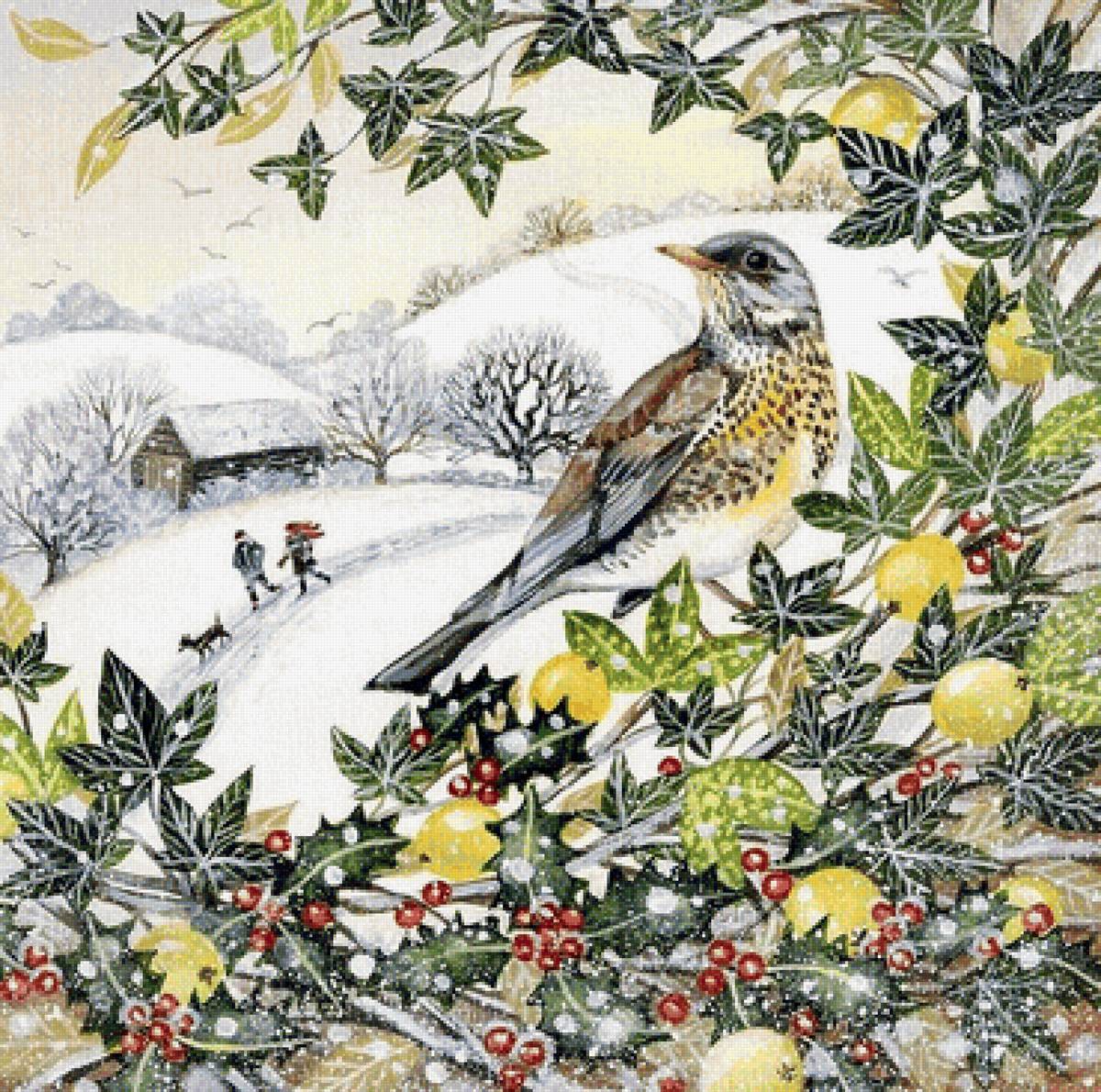 птица - рисунок - предпросмотр