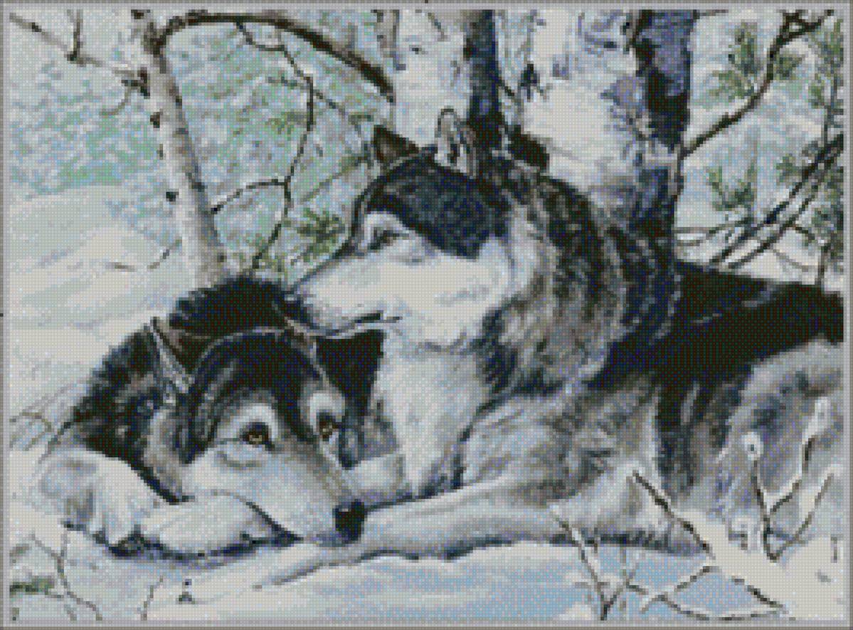 №2430848 - предпросмотр