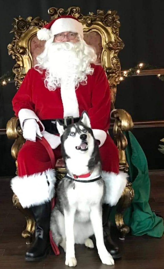 №2430849 - оригинал