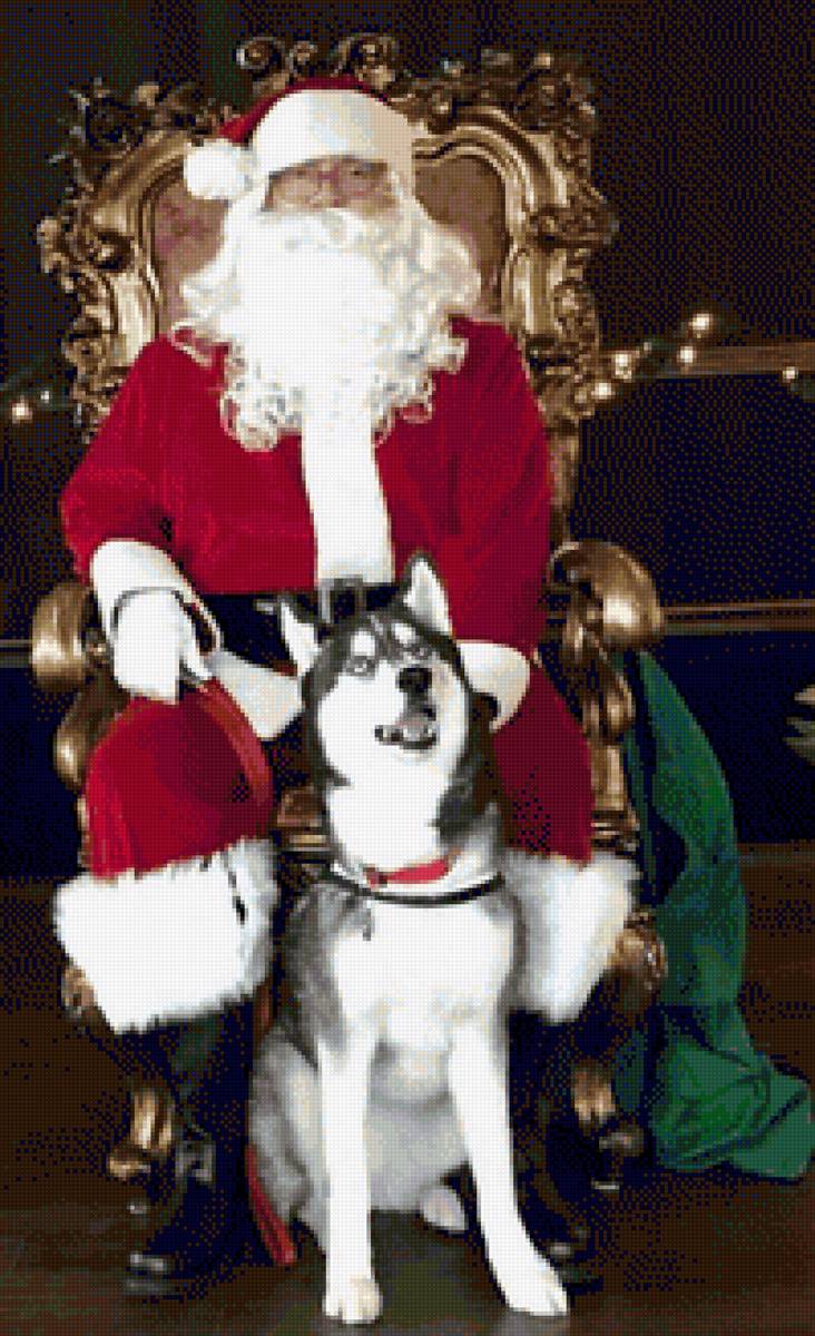 №2430849 - предпросмотр