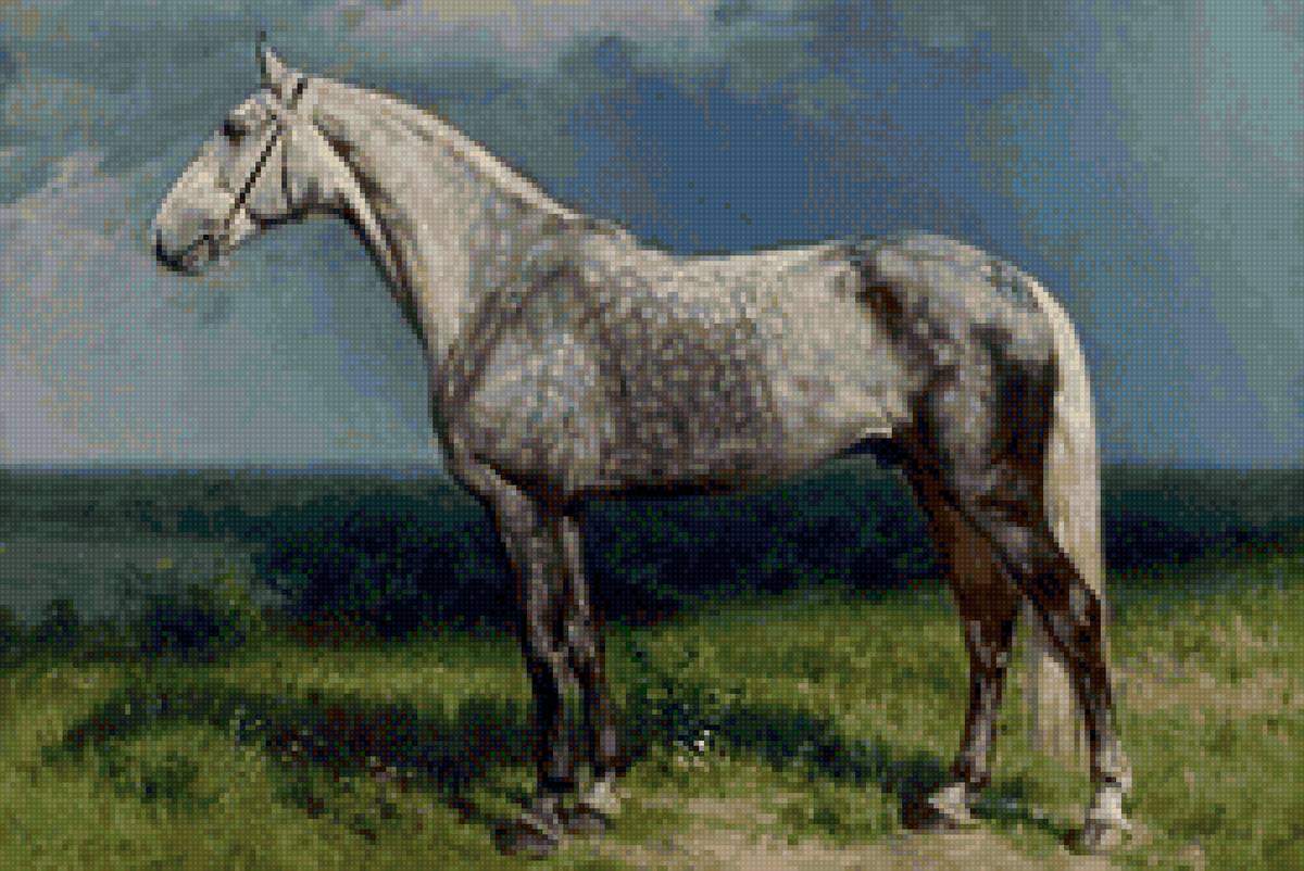 конь - лошадь, природа, животные - предпросмотр