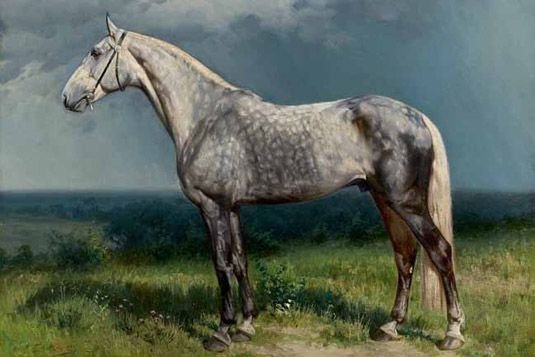 конь - животные, природа, лошадь - оригинал