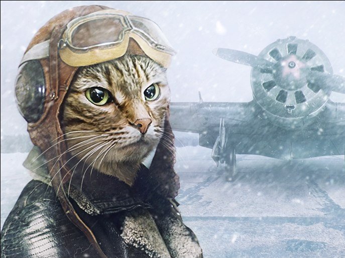 Кот лётчик - оригинал