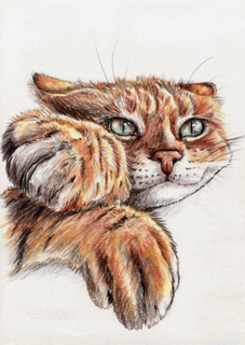 кот - рисунок - предпросмотр