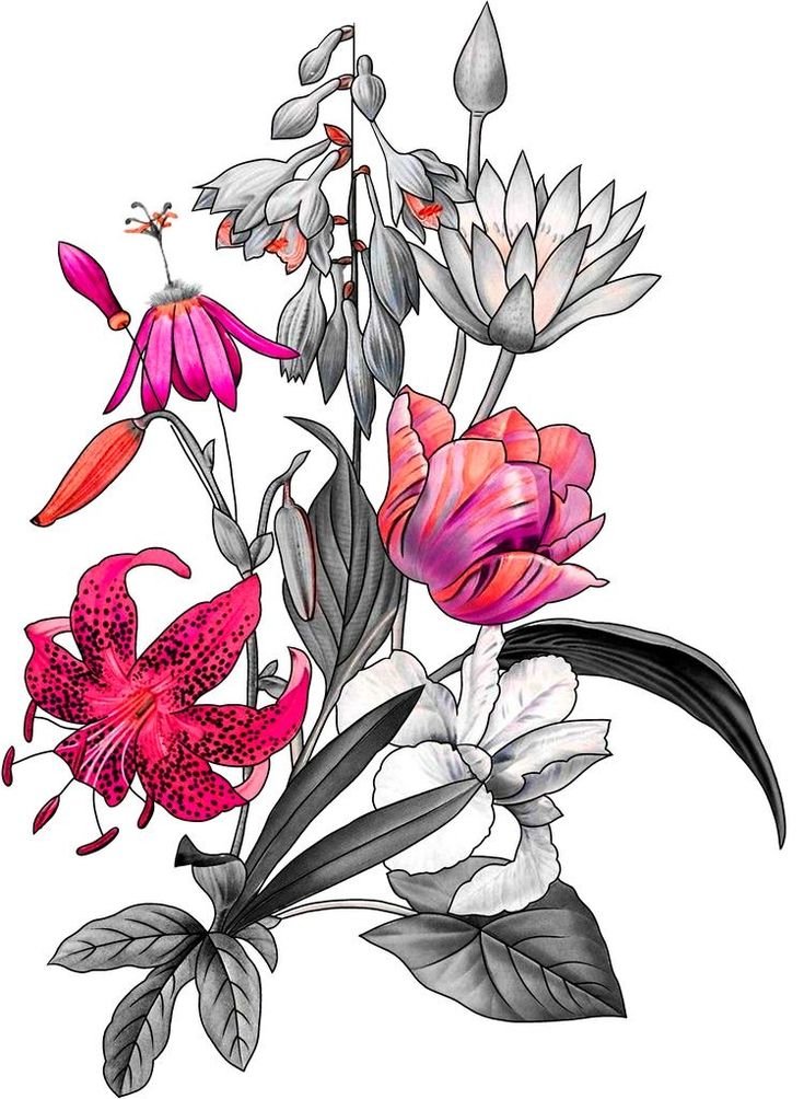 №2431449 - оригинал