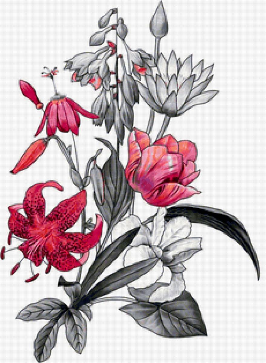 №2431449 - предпросмотр