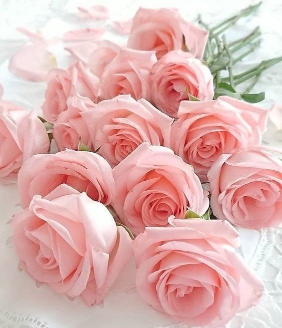 цветы - оригинал