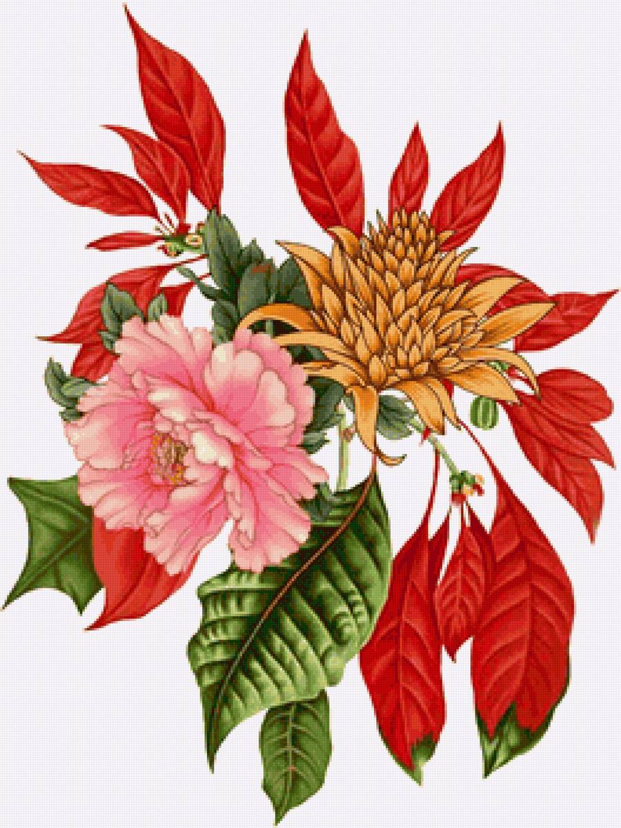 №2431457 - предпросмотр