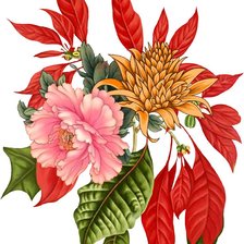 Схема вышивки «№2431457»