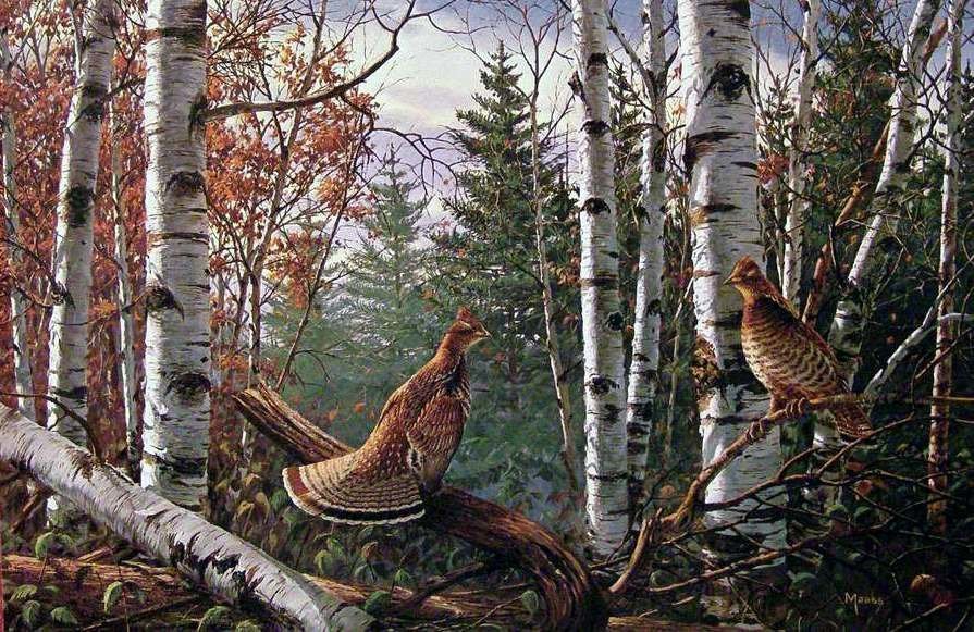 Птички - оригинал