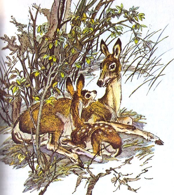 олени - рисунок - оригинал