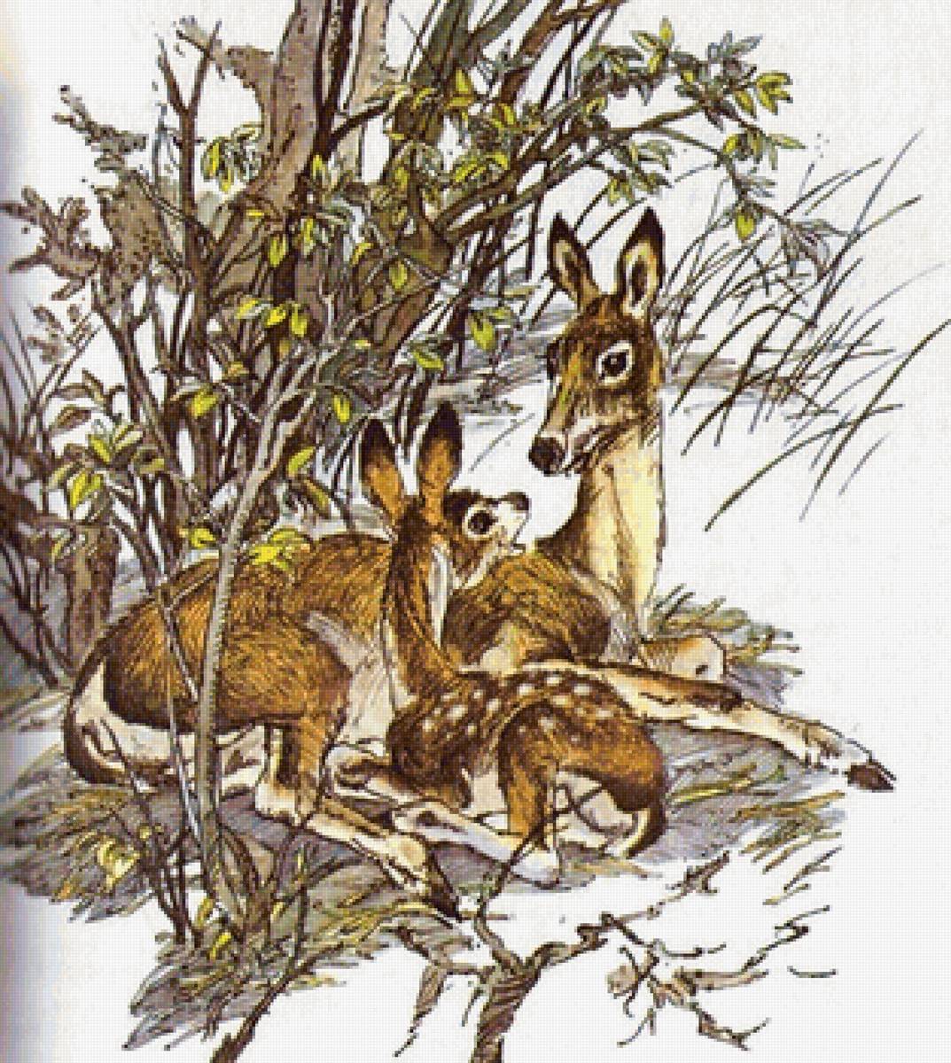 олени - рисунок - предпросмотр