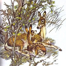 Схема вышивки «олени»