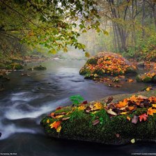 Схема вышивки «лес»