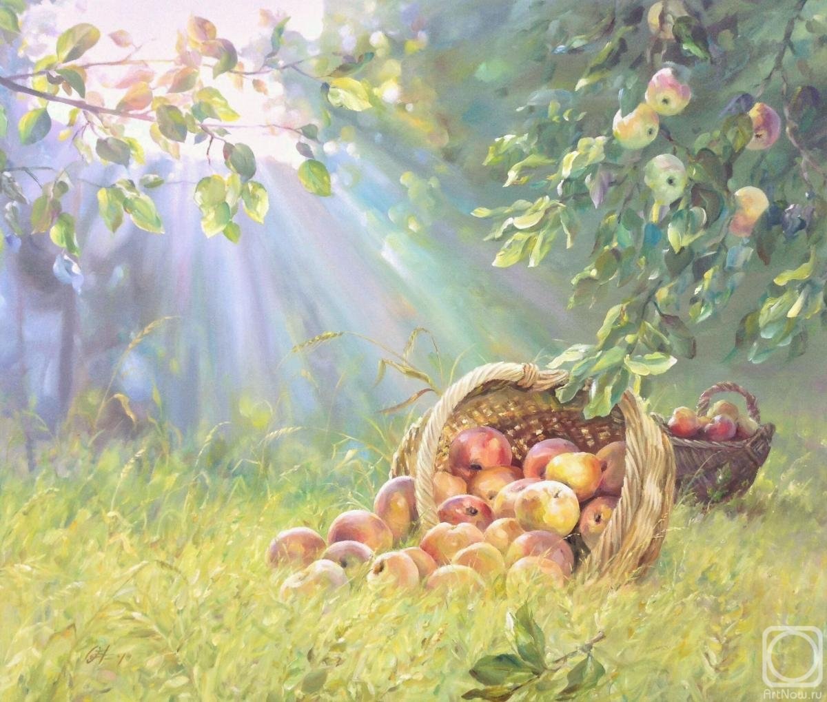 Яблоки - лето, корзина - оригинал