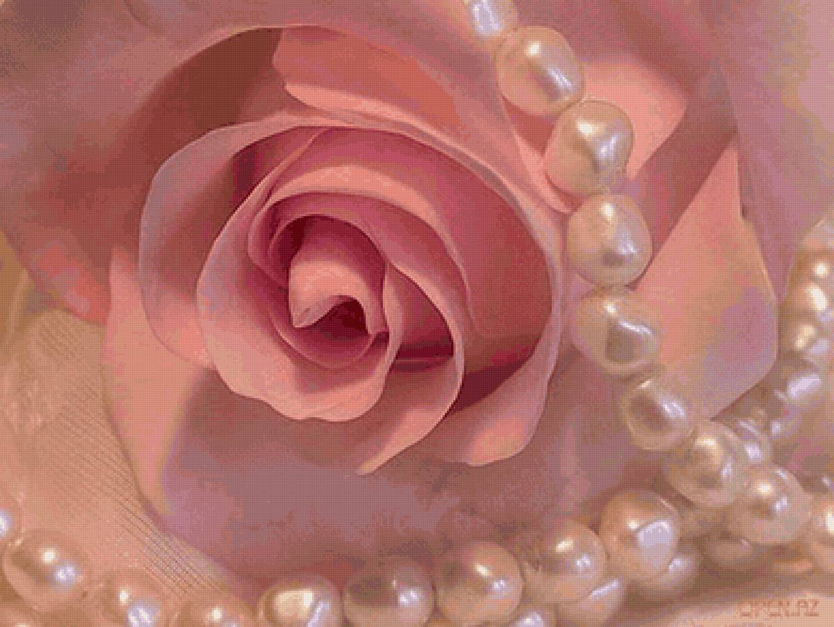 Перламутровые фотки. Розовый жемчуг. Розы и жемчуг. Розы с бусами. Красивый жемчуг.