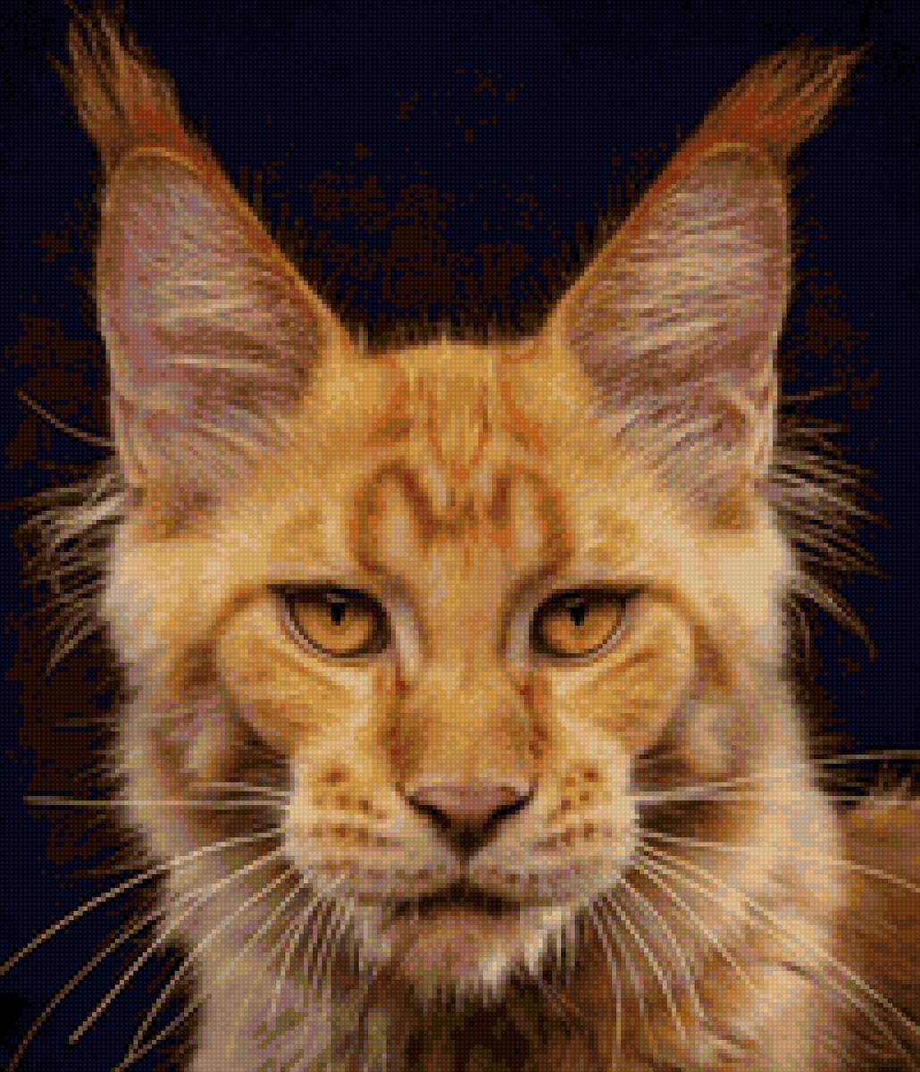 мейкун - кошка, кот, мейкун, животные - предпросмотр