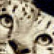 Предпросмотр схемы вышивки «снежные барсы» (№2433440)