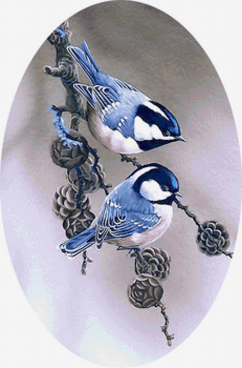 птицы - предпросмотр