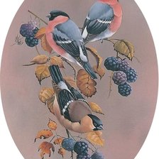 Схема вышивки «птицы»