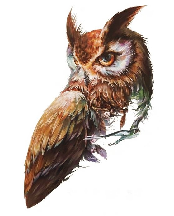 сова - оригинал