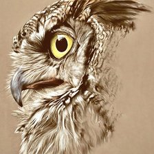 Схема вышивки «сова»