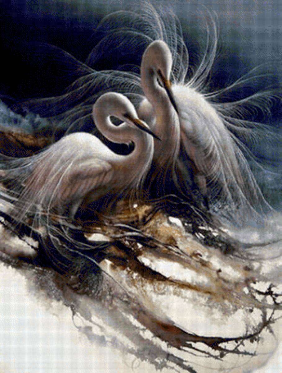 птицы - предпросмотр