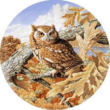 Схема вышивки «сова»
