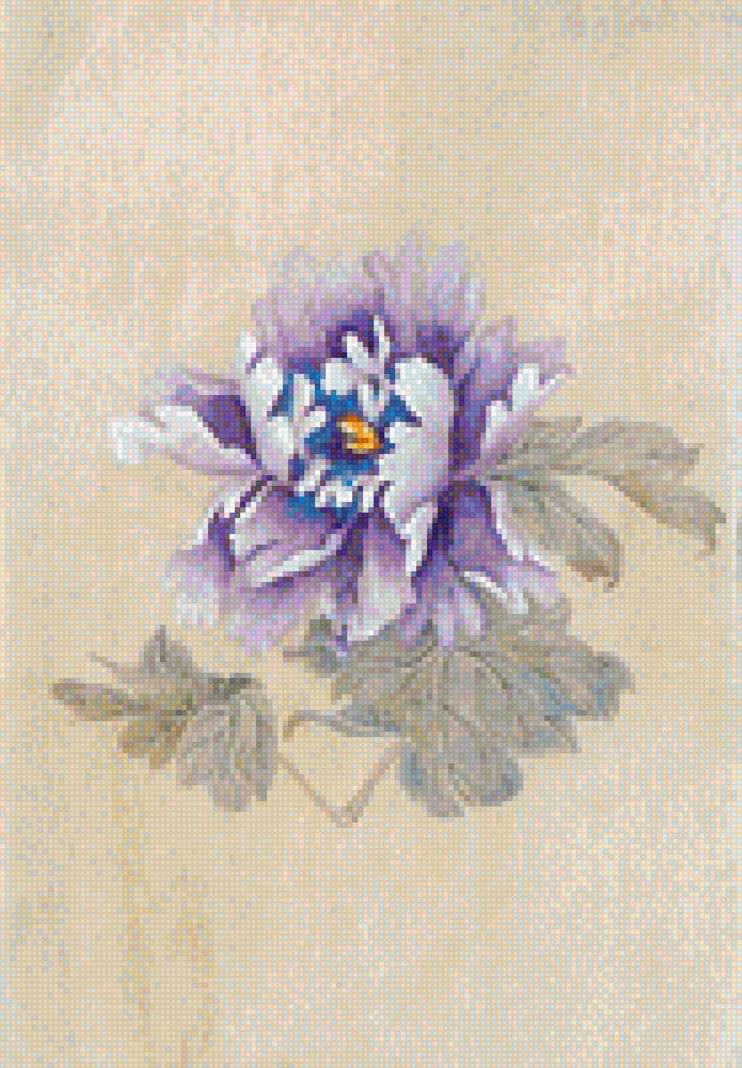 MAUDON - предпросмотр