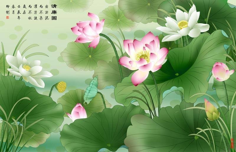 Hoa sen - sen - оригинал