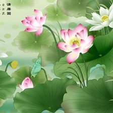 Схема вышивки «Hoa sen»