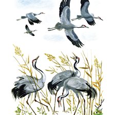 Схема вышивки «журавли»