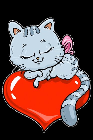 киса - оригинал