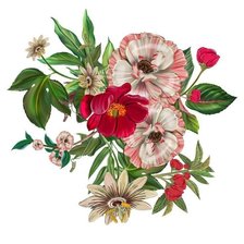 Схема вышивки «№2434360»