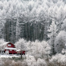 Схема вышивки «зима»