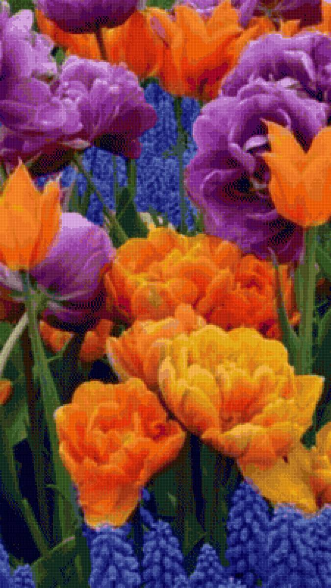 Flores 2 - naturaleza - предпросмотр