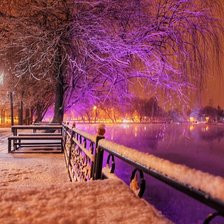 Схема вышивки «Зимний парк»