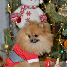 Схема вышивки «НОВЫ ГОД, ЗИМА, ЖИВОТНЫЕ»