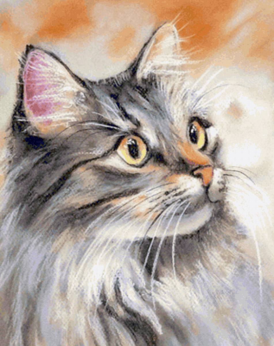 Кот - кот - предпросмотр