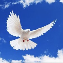 Схема вышивки «№2435376»