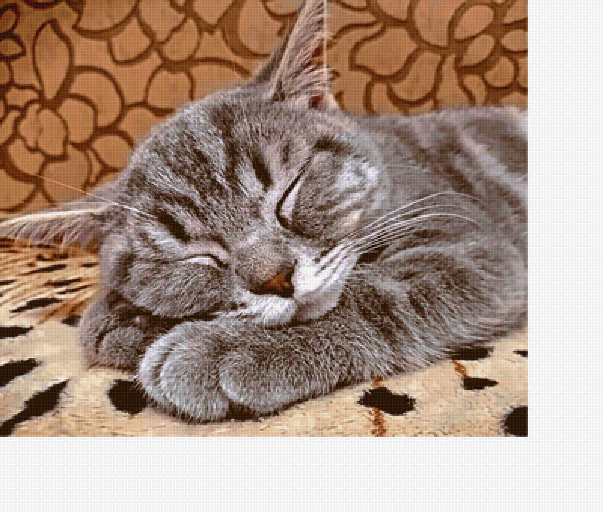 Серия "Коты" - кот, животные - предпросмотр