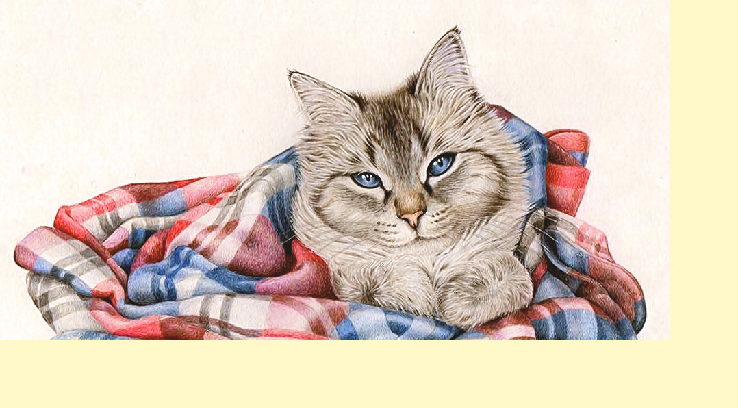 Серия "Коты" - животные, кот - оригинал