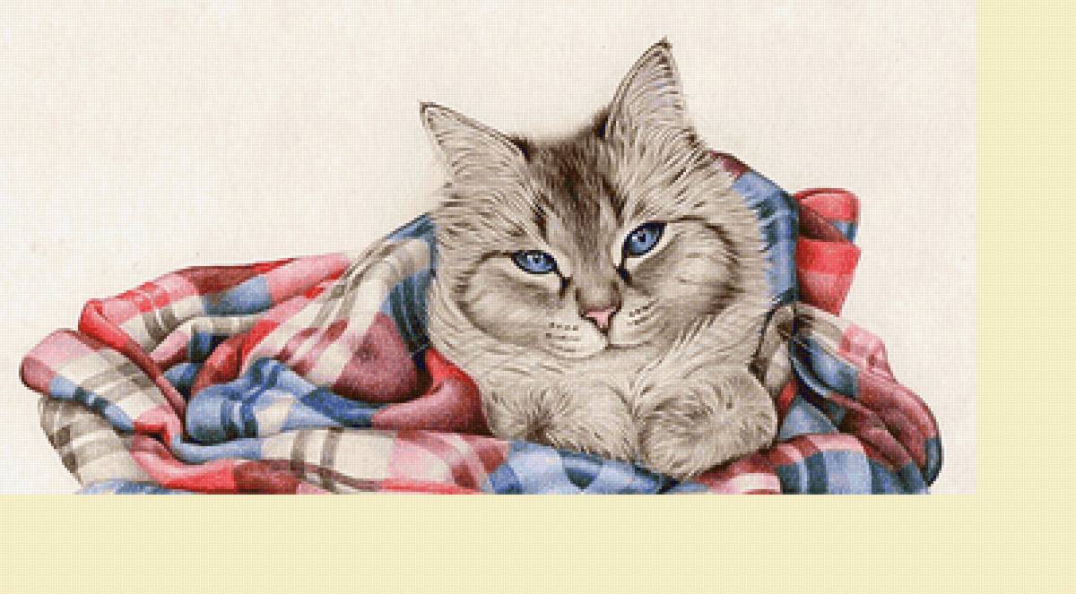 Серия "Коты" - животные, кот - предпросмотр