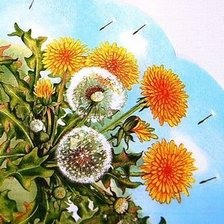 Схема вышивки «одуванчики 2»