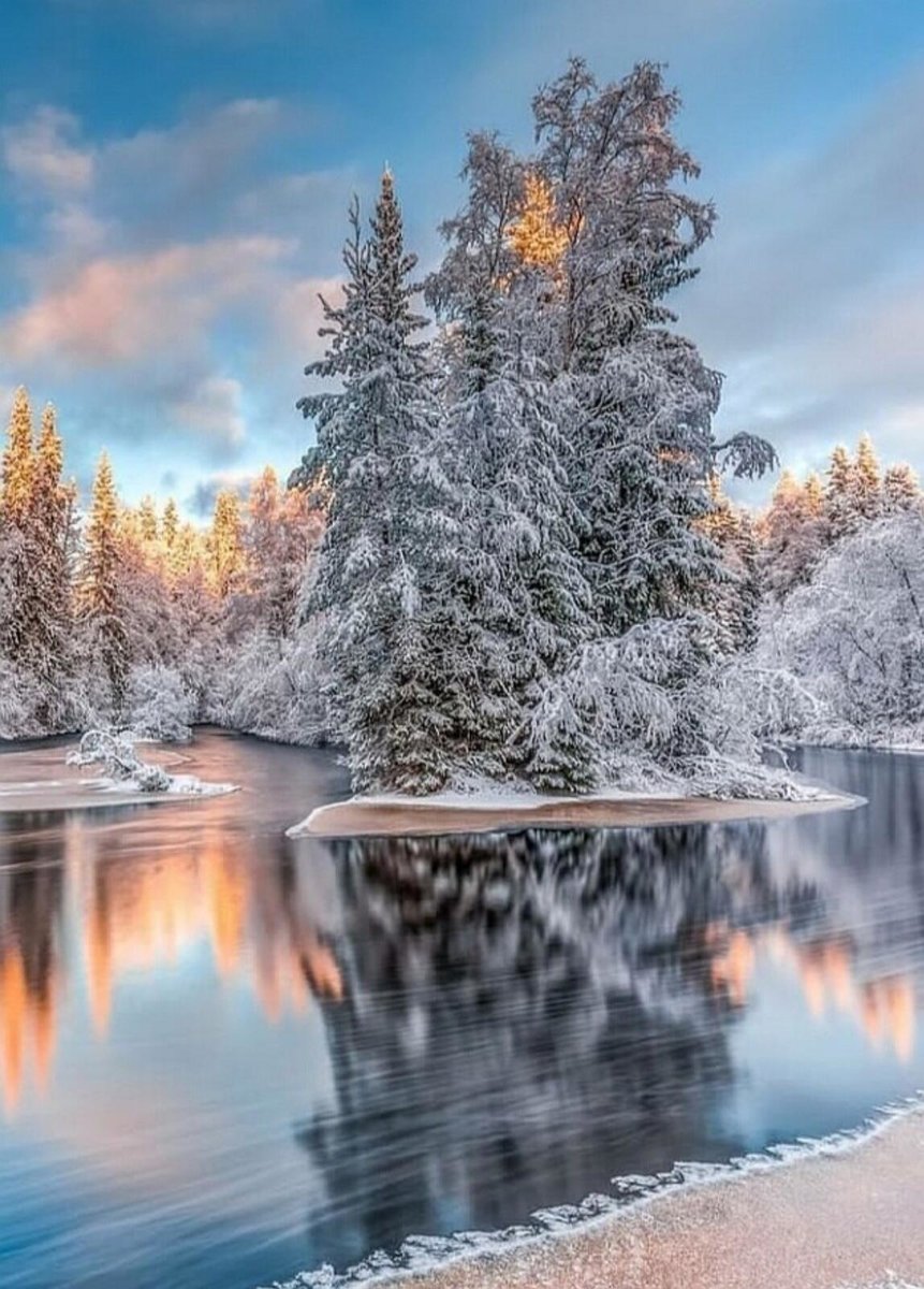 №2436604 - оригинал