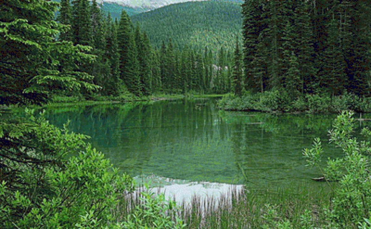 №2437125 - emerald-lake-forest-canada-mountains-nature - предпросмотр
